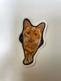 Cat Stickers by Salvador Hernandez