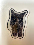 Cat Stickers by Salvador Hernandez