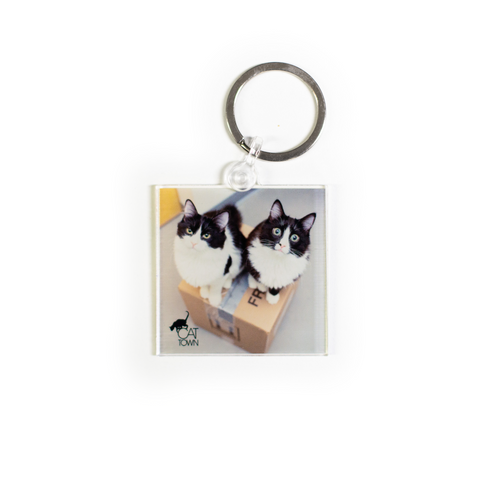 Cat Town Keychain, Photo by Erica Danger